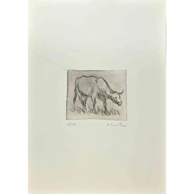 Bull is an Etching realized by Enotrio Pugliese in 1963. Limited edition of 18 copies numbered and signed by the artist....