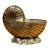 Vintage Brass Nautilus Shell Planter For Sale