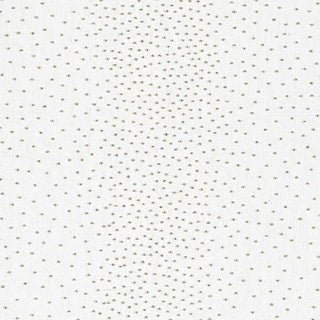 Schumacher Northern Lights Fabric in Daylight For Sale
