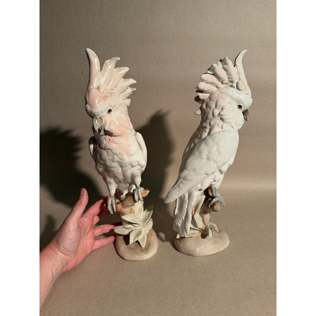 Very Large Royal Dux Porcelain Pair of Cockatoos For Sale - Image 11 of 11