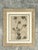 This elegant early 20th-century framed botanical drawing celebrates the timeless beauty of floral illustration through...