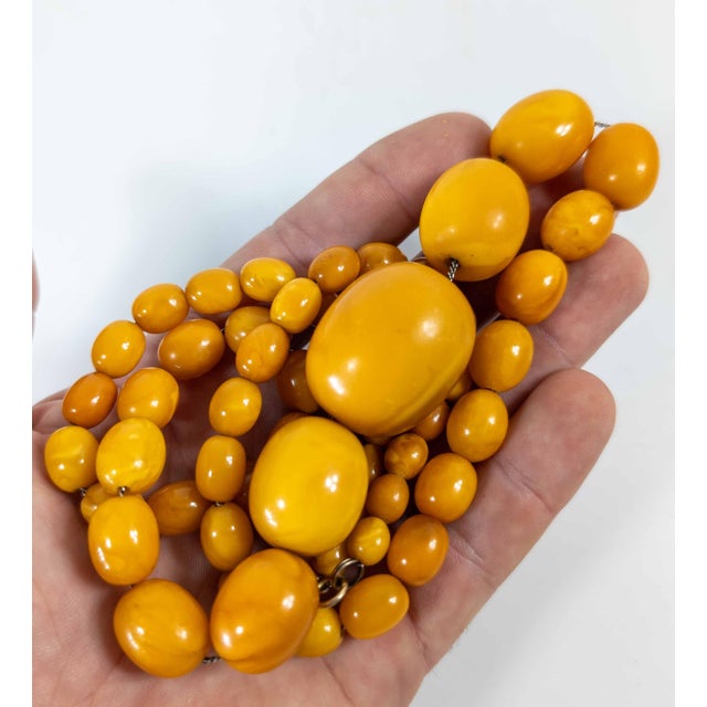 20th Century Butterscotch Egg Yolk Baltic Amber Bead Necklace For Sale - Image 12 of 12