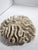 Antique Natural Brain Coral Specimen For Sale - Image 4 of 8