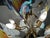 Wings of Freedom Chandelier in Murano Glass by Franco Luce, 1980s For Sale - Image 13 of 15