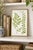 Illustration Fern Art Print – Antique Maidenhair Botanical Illustration, 8" X 12" For Sale - Image 3 of 8
