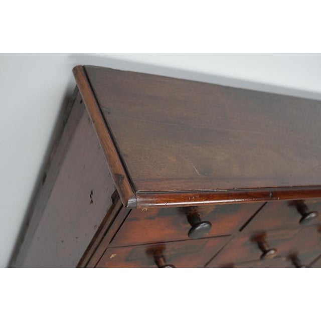 19th Century Hardwood Apothecary Cabinet, England For Sale - Image 9 of 18