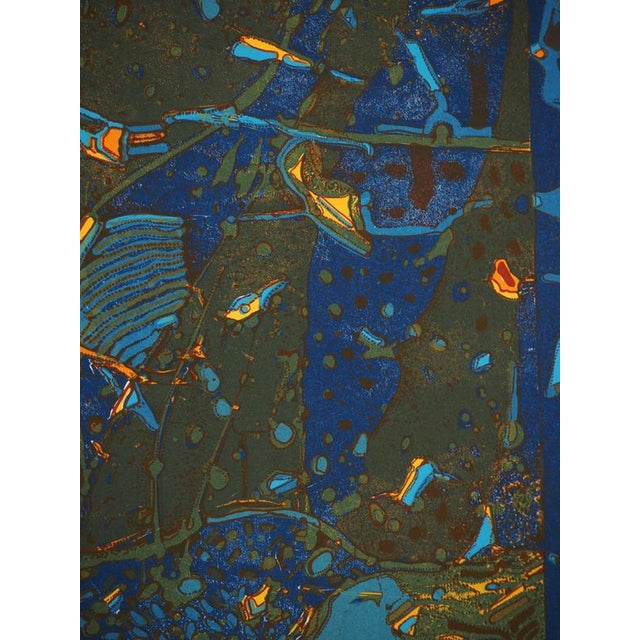 Jean-Pierre Vielfaure, Underwater Diving, Lithograph For Sale - Image 5 of 8