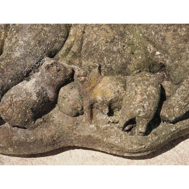 Weathered Cast Stone Pig and Piglets From England, 20th C. For Sale In Dallas - Image 6 of 13