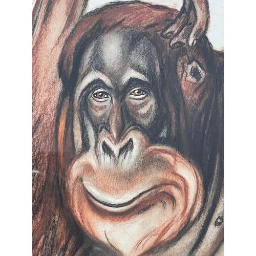 André Margat, Orang-Outan, 1929, Pastel Drawing, Framed For Sale - Image 3 of 11