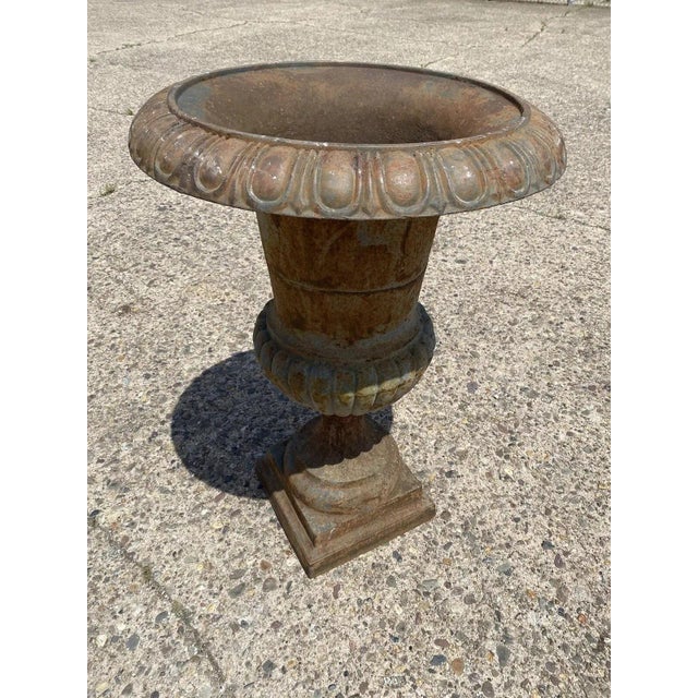 Late 20th Century French Style Cast Iron Campana Urn Planter For Sale In Philadelphia - Image 6 of 8