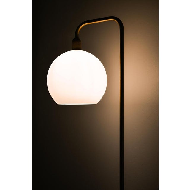 Floor Lamp in Brass and Opaline Glass, 1950s For Sale - Image 6 of 8