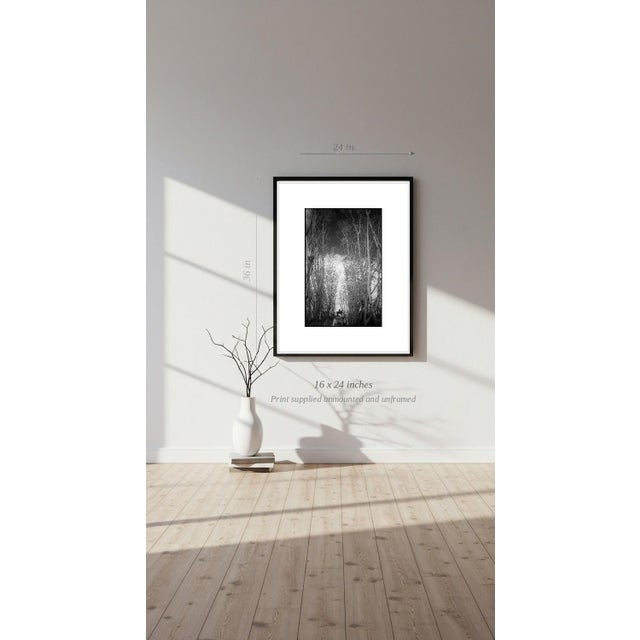 Paul Cooklin, Garibaldi Monument, Edition of 50 For Sale - Image 6 of 7