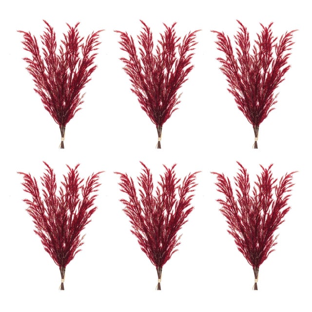 Rustic Burgandy Plume Bundle (Set of 6) For Sale - Image 3 of 3