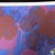 1990s 1990s After Andy Warhol "Poppy Flowers" Lithograph For Sale - Image 5 of 11