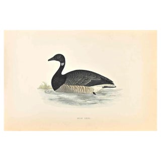 Alexander Francis Lydon, Brent Goose, Woodcut Print, 1870 For Sale