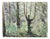 Carlo Ravagnan, Wood in Alsace, 1963, Watercolor on Paper For Sale