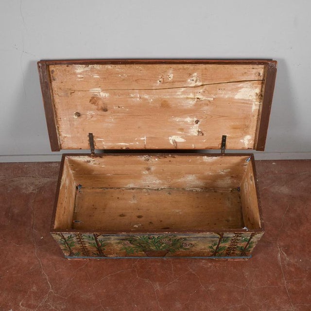 Brown Painted Fir Chest, Early 1900s For Sale - Image 8 of 18