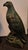 Pr. Of vintage cast iron eagles weigh roughly 250lbs each and are in near fine condition as you can see by the photos....