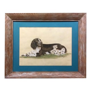 1952 English Setter Oil Pastel Drawing, Framed For Sale