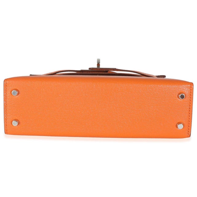 Animal Skin Feu Terre Battue Verso Mysore Chevre Sellier Mini Kelly 20 II PHW For Sale - Image 7 of 8