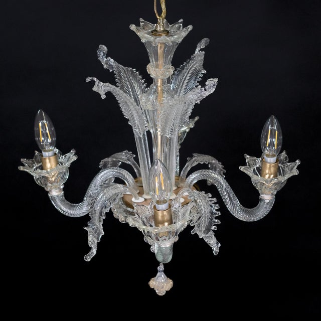 Late 20th Century Vintage Ca’ Rezzonico Style Gold‑Infused Murano Chandelier, in the Manner of Giuseppe Briati For Sale - Image 5 of 18