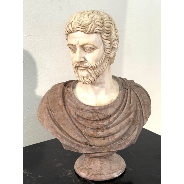 1950s Two-Tone Marble Bust of a Roman Nobleman For Sale - Image 5 of 11