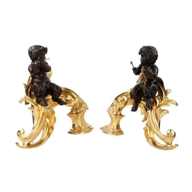 Louis XV Style Firewood Cabinets in Gilded and Patinated Bronze, Set of 2 For Sale - Image 3 of 6