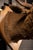 White White Tailed Deer Buck Taxidermy Shoulder Mount For Sale - Image 8 of 9