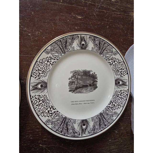 White Six Bewick Bird Plates by Prinknash Abbey Pottery For Sale - Image 8 of 12