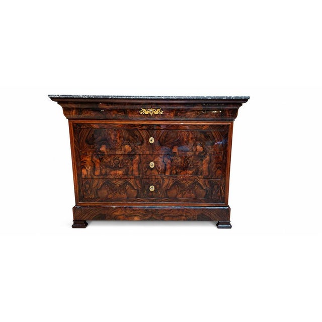 Brown Louis Philippe Chest of Drawers in Burr Walnut, 1840s For Sale - Image 8 of 16
