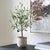 Traditional Solea Olive Accent & Textured Vase For Sale - Image 3 of 5