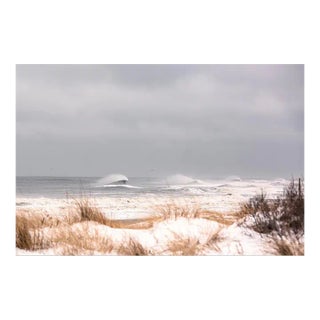 Winter 1 by Daniel Weiss Print, 40" x 60" For Sale