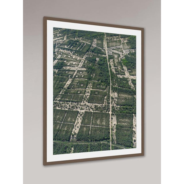 Edition Aerial Views Bernhard Lang Image: AV_Forests_in_Formation_006 Size D: 17,7 x 23,6 inches (45 x 60 cm) No 1 of 9,...