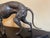 Art Deco Greyhound Statue, 1920s For Sale - Image 12 of 17