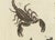Late 18th Century Bertuch, Tarantula, Spiders and Scorpions, 1790, Engraving For Sale - Image 5 of 10
