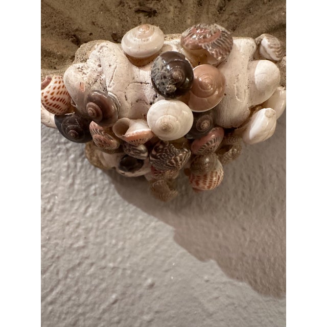 Nautical Cast Stone & Shell Wall Bracket For Sale - Image 3 of 11