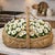 Farmhouse Large Vintage Handwoven Farmhouse Buttock Egg Basket or Harvest Basket. Great in Americana, Primitive & Cottage Core Decor. See Pics! For Sale - Image 3 of 8