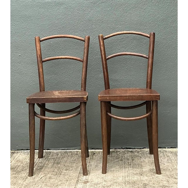 Wood Vintage Carved Crocodile Wood Dining Chairs - A Pair For Sale - Image 7 of 12