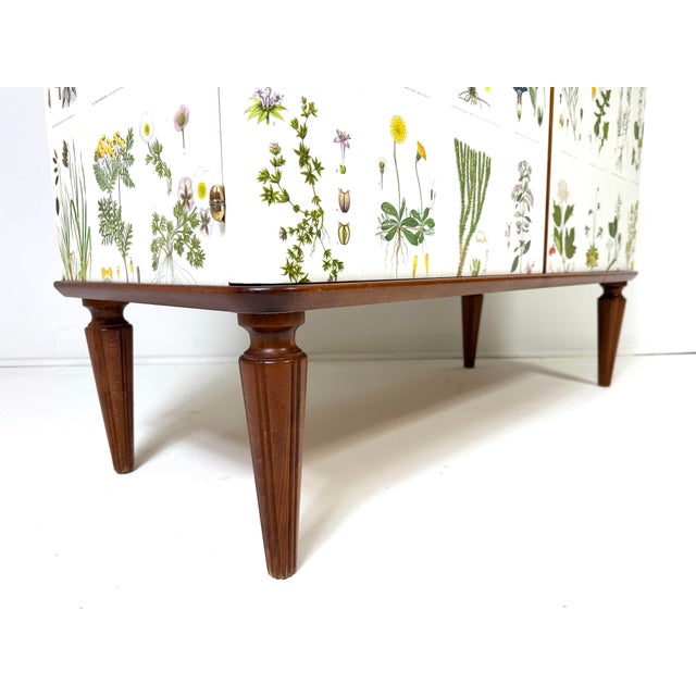 1950's Swedish Cabinet With Nordens Flora Illustrations For Sale - Image 9 of 10