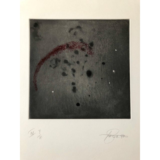 Pat Steir (born 1940) is an American painter and printmaker. Her early work was loosely associated with Conceptual Art and...