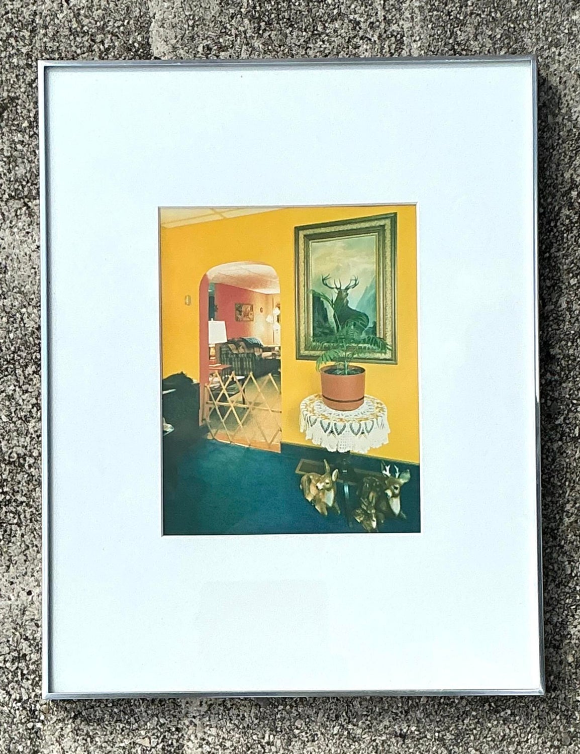Vintage 1982 Vintage Original Stephen Myers C-Print “Monarch of the Hills” - Back view