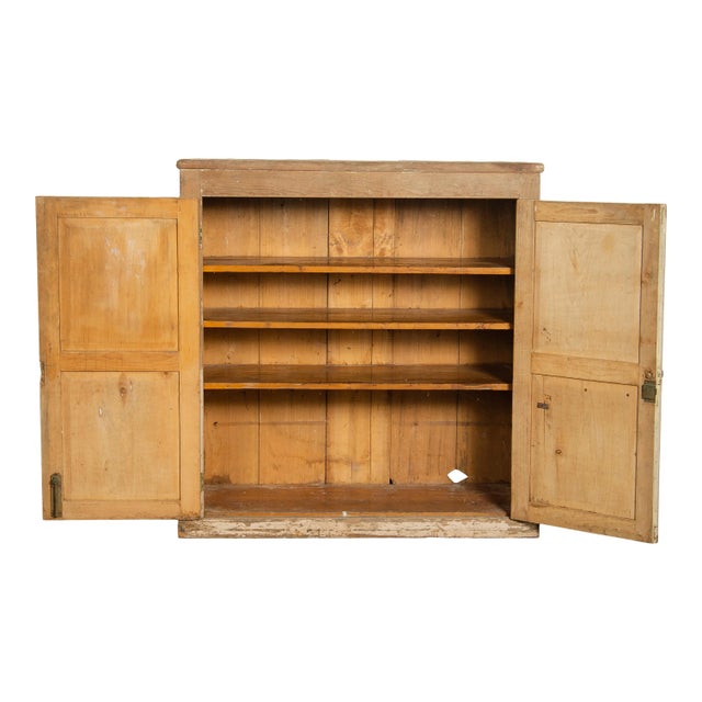 Early 20th Century Early 20th Century Vintage European Cupboard For Sale - Image 5 of 7