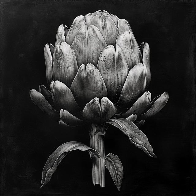Contemporary Springtime Artichoke — Black and White Vintage Botanical Photography Print For Sale - Image 3 of 3