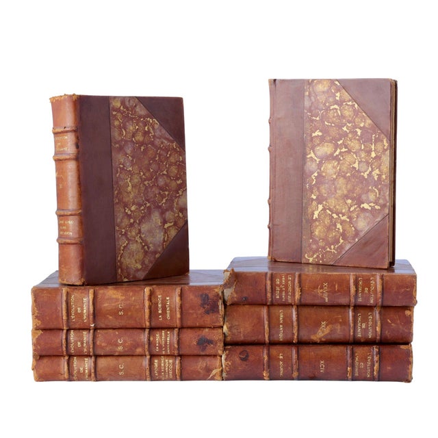 Brick Red 1920 French Evolution of Humanity Books For Sale - Image 8 of 9