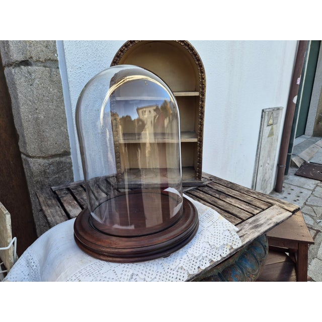 Mid-Century Bell Jar, 1950s For Sale - Image 12 of 18