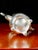 Mid 20th Century 1881 Wm. Rogers "Glenrose" 6 - Piece Master Tea & Coffee Service With Webster Wilcox "Joanne" Tray For Sale - Image 11 of 12