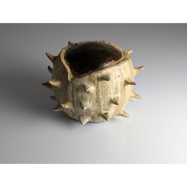 Large Organic Glazed Stoneware Chestnut, 20th Century For Sale - Image 4 of 9