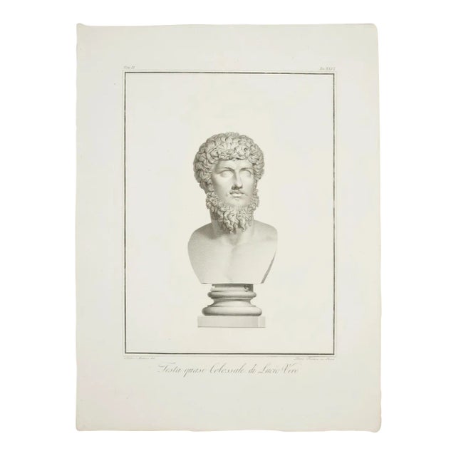 Testa Quasi Colossale di Lucio Vero - Etching by P. Fontana 1821 For Sale