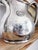 Reed & Barton Antique Silver Plated Water Pitcher From Hotel Clark in Los Angeles Ca For Sale - Image 4 of 7