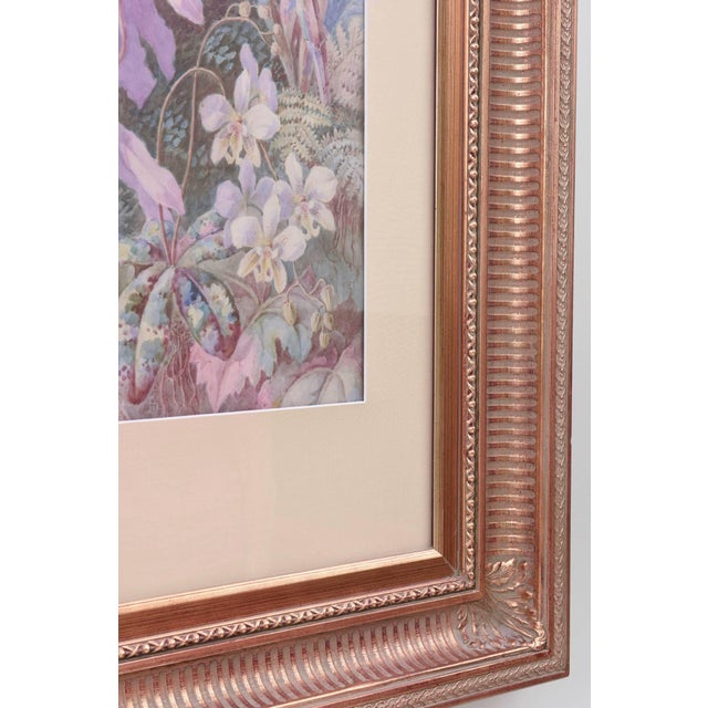 1900 - 1909 Exquisite Orchid & Hummingbird Watercolor by William Morley, Antique Oversize For Sale - Image 5 of 10
